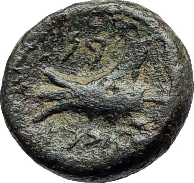 ARADOS in PHOENICIA Authentic Ancient 206BC Greek Coin w ZEUS & GALLEY i75499