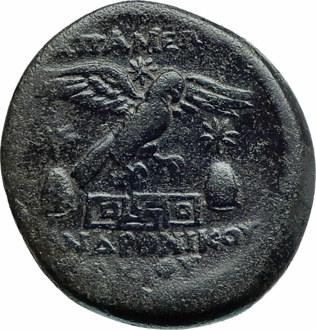 APAMEIA PHRYGIA 88BC Athena Gemini Caps Eagle Original Ancient Greek Coin i79729