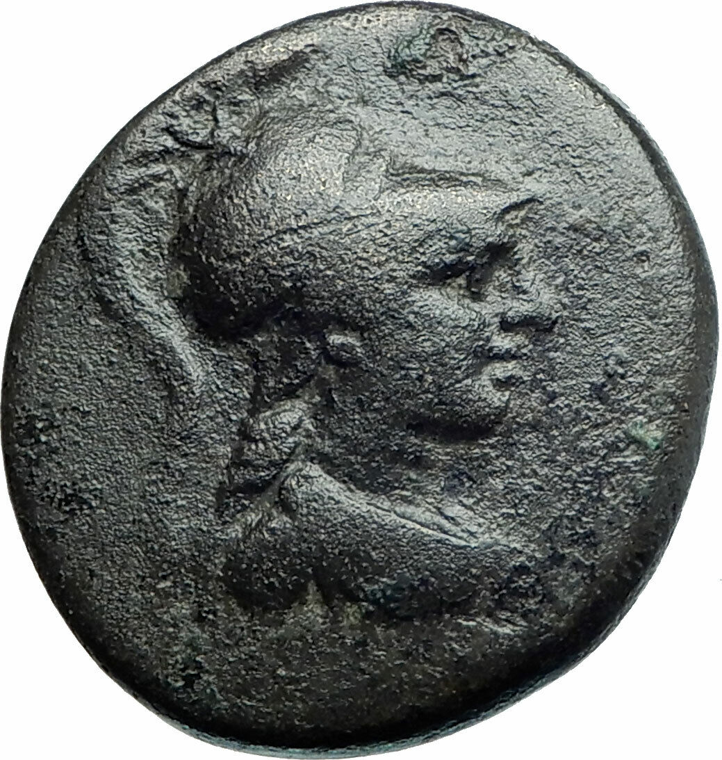 APAMEIA PHRYGIA 88BC Athena Gemini Caps Eagle Original Ancient Greek Coin i79729