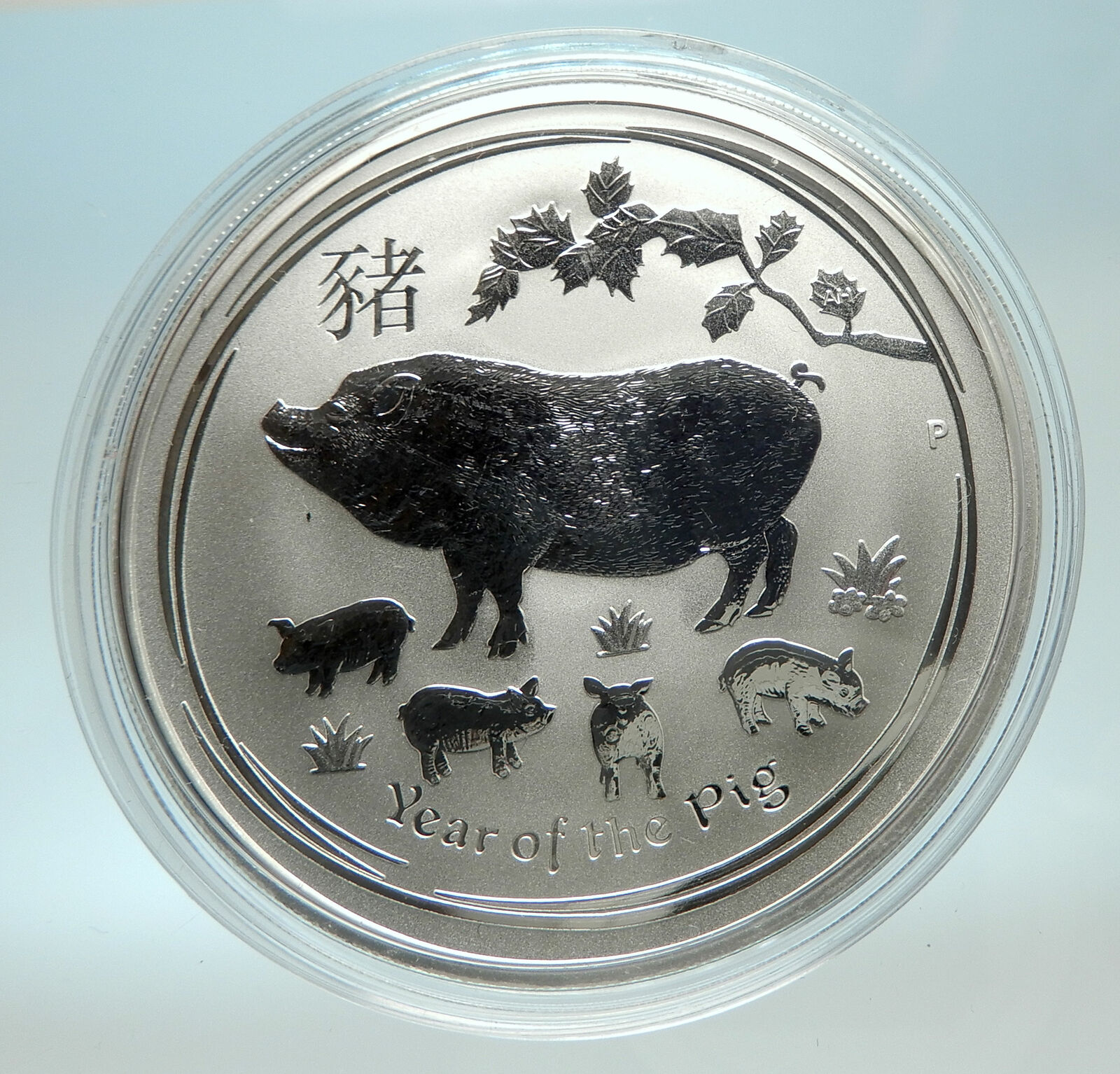 2019 AUSTRALIA Elizabeth II Chinese Zodiac Pig Year Genuine Silver Coin i76591