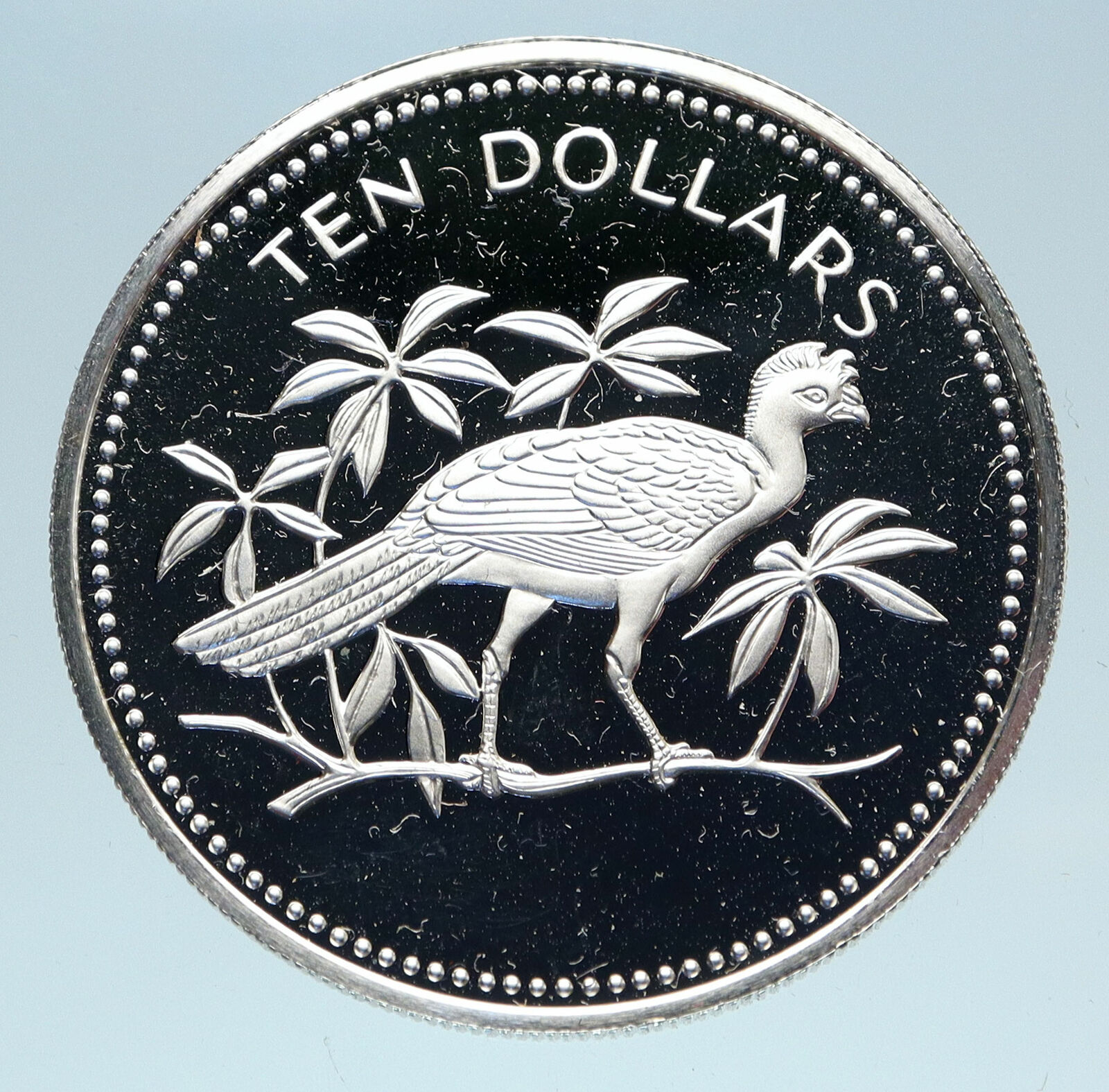 1975 BELIZE Avifauna Scarlet Macaw BIRD Old Genuine Proof Silver $10 Coin i83062