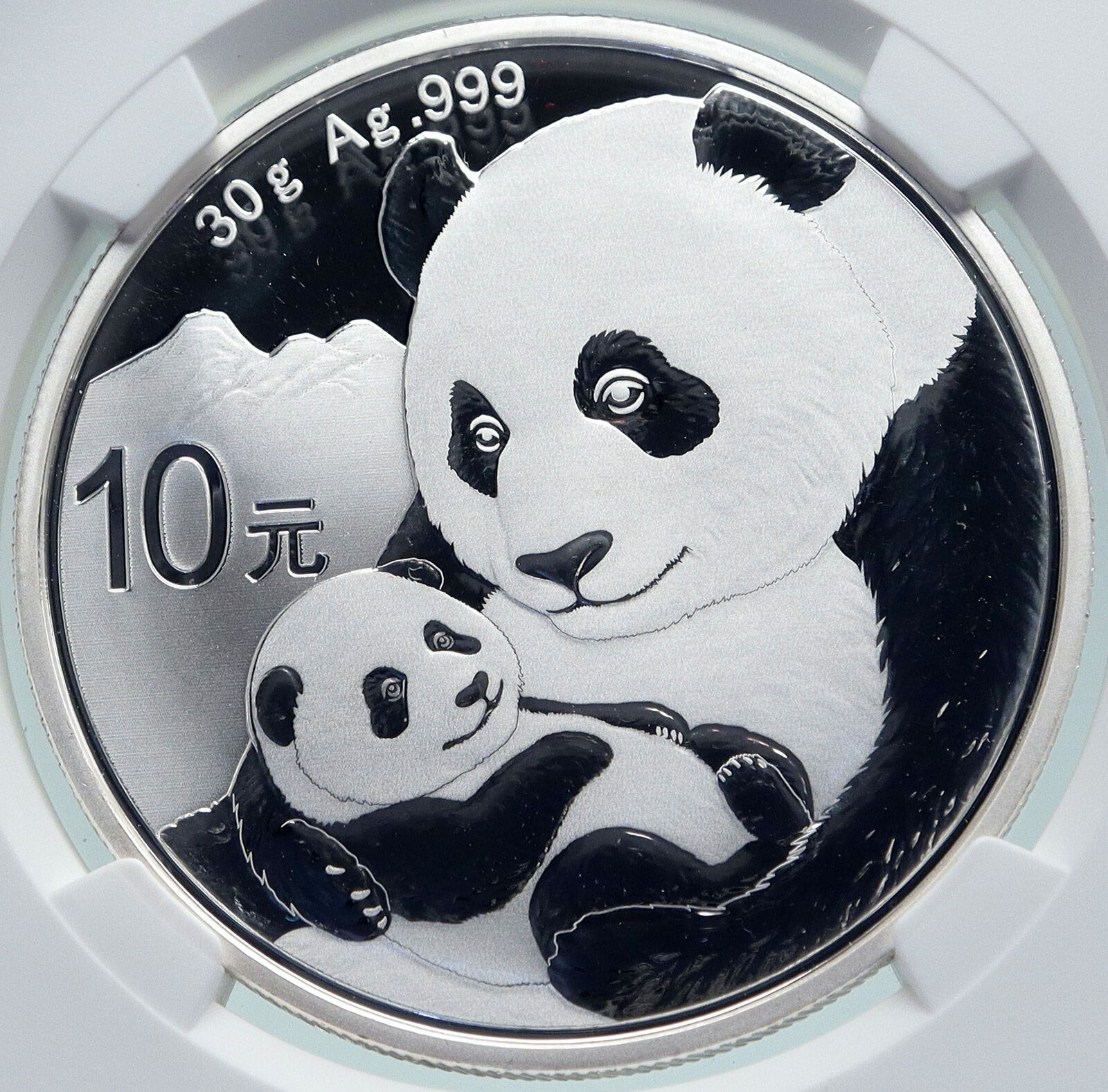 2019 CHINA PANDA MOM with CUB Proof Silver 10 Yuan Chinese Coin NGC MS70 i86683