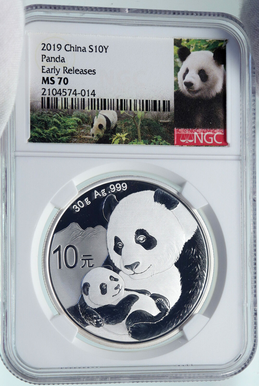 2019 CHINA PANDA MOM with CUB Proof Silver 10 Yuan Chinese Coin NGC MS70 i86683