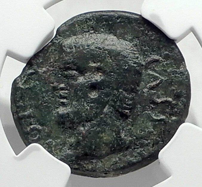 VESPASIAN Authentic Ancient 69AD Cassandrea Macedonia RARE Roman Coin NGC i80133