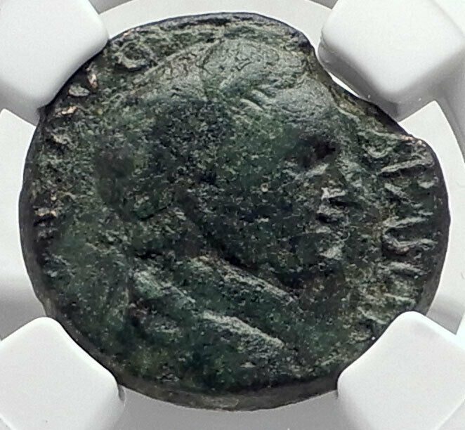 VESPASIAN Authentic Ancient 69AD Cassandrea Macedonia RARE Roman Coin NGC i80133