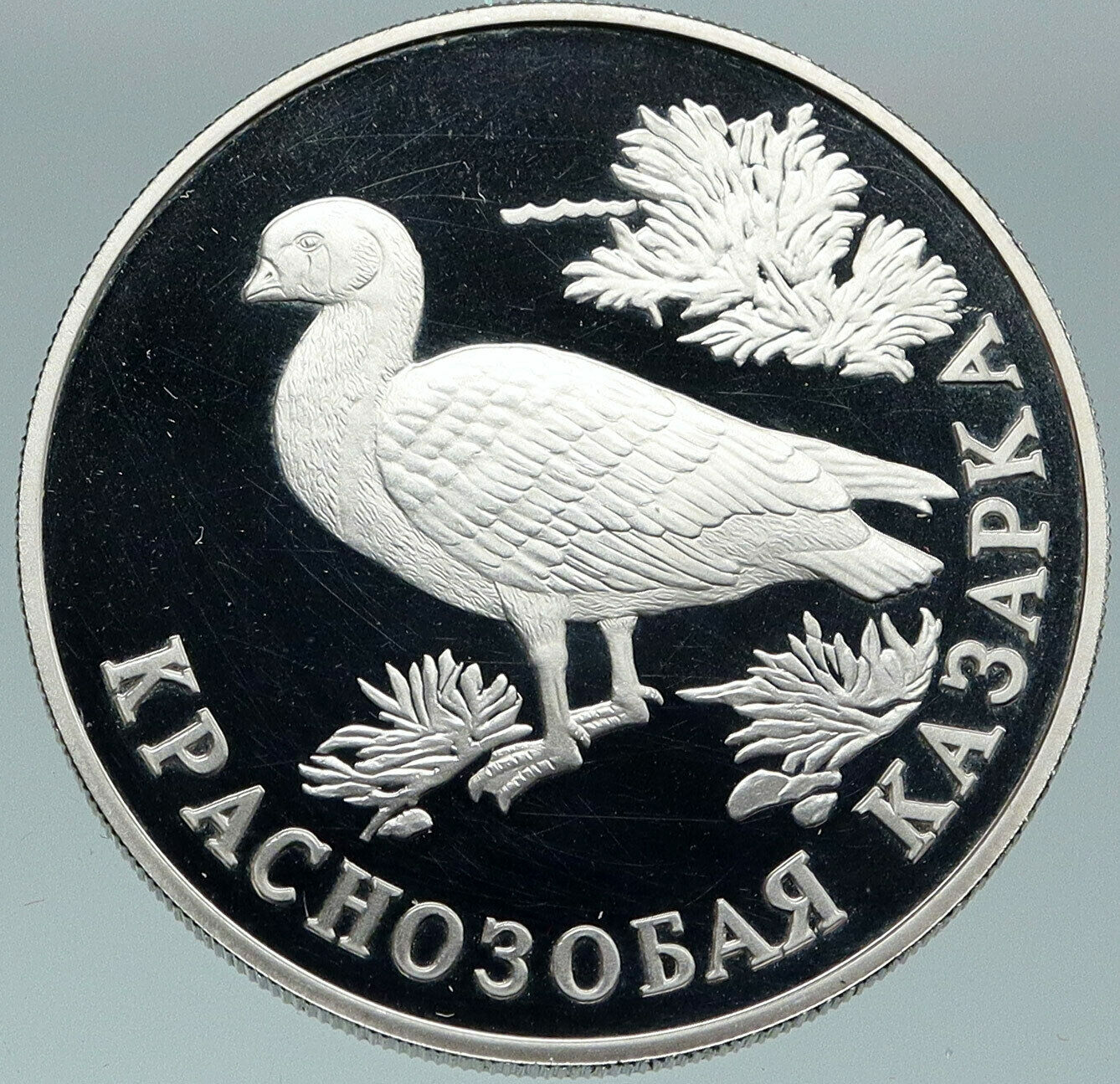 1994 RUSSIA Endangered RED BREASTED GOOSE Vintage Proof Silver Ruble Coin i87457