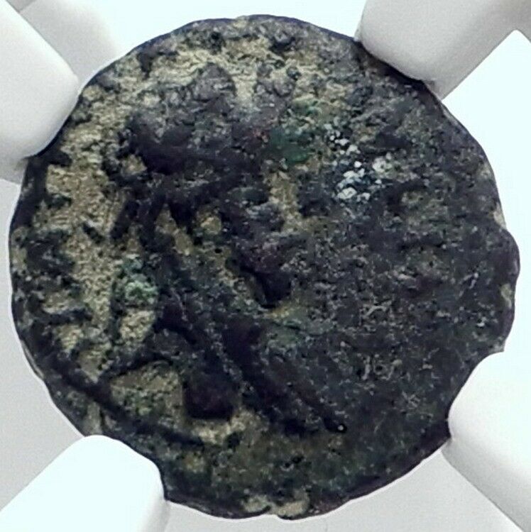 HADRIAN Authentic Ancient Caesarea Maritima Samaria Roman Coin LION NGC i81798