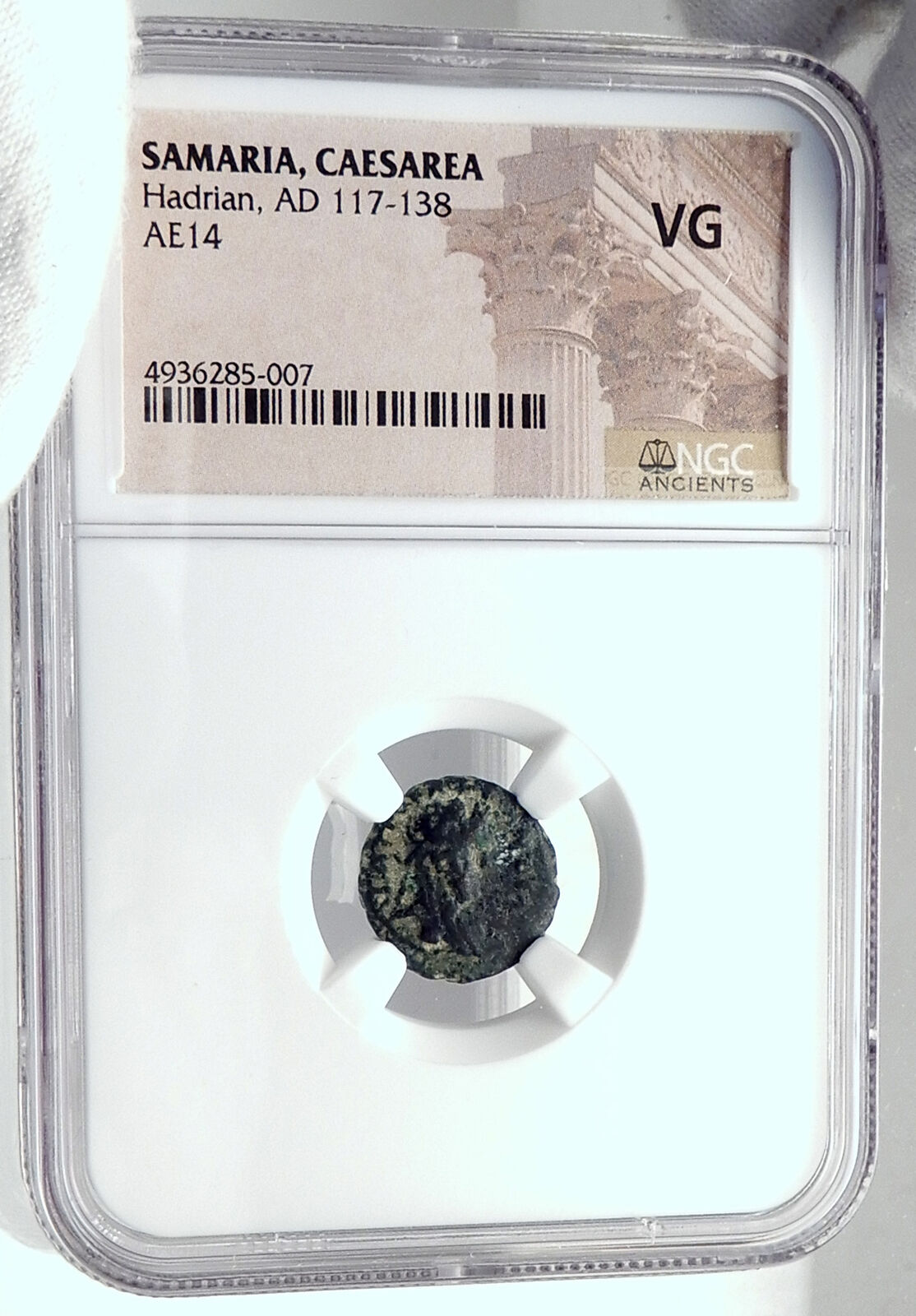 HADRIAN Authentic Ancient Caesarea Maritima Samaria Roman Coin LION NGC i81798