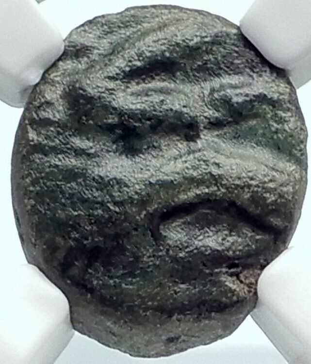 ADAIOS Scythian Thracian King VERY RARE 2754BC Greek Coin BOAR SPEAR NGC i81899