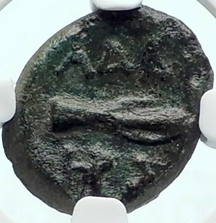 ADAIOS Scythian Thracian King VERY RARE 2754BC Greek Coin BOAR SPEAR NGC i81899