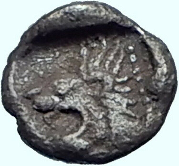 KYZIKOS in MYSIA 525BC Tetartemorion Boar Lion Ancient Silver Greek Coin i41509