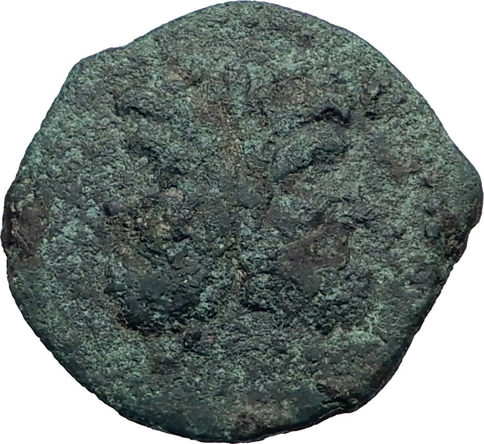 PANORMOS in SICILY Roman Protectorate after241BC JANUS Ancient Greek Coin i43603