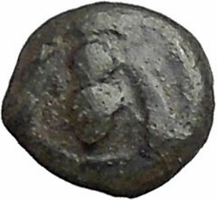 EPESUS Ephesos IONIA 405BC Bee Stag's Head Authentic Ancient Greek Coin i47965