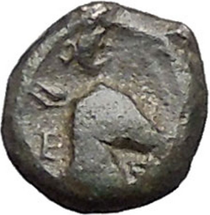 EPESUS Ephesos IONIA 405BC Bee Stag's Head Authentic Ancient Greek Coin i47965