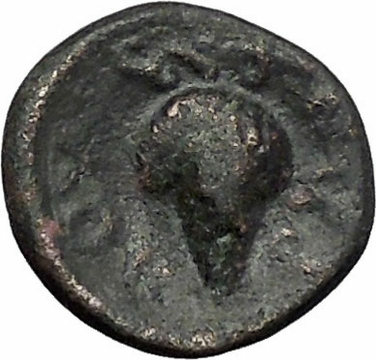 Opus in LOKRIS OPUNTIA 330BC Authentic Ancient Greek Coin Athena Grapes i49335