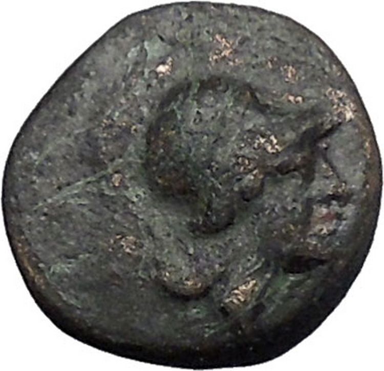 Opus in LOKRIS OPUNTIA 330BC Authentic Ancient Greek Coin Athena Grapes i49335