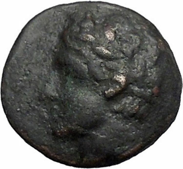 Opus in LOKRIS OPUNTIA 330BC Authentic Ancient Greek Coin Apollo Grapes i49326