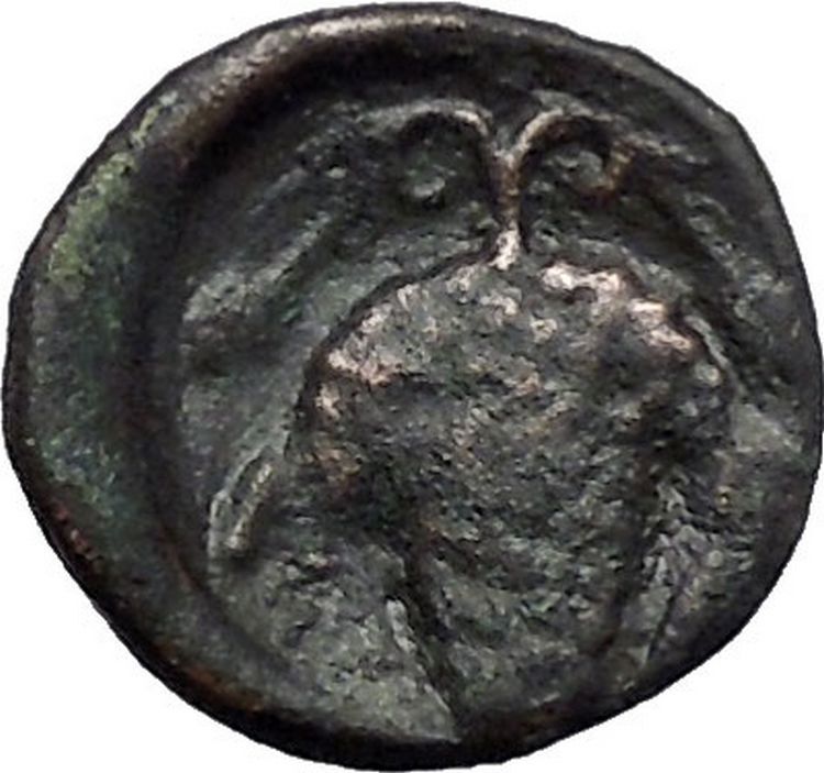 Opus in LOKRIS OPUNTIA 330BC Authentic Ancient Greek Coin Apollo Grapes i49326