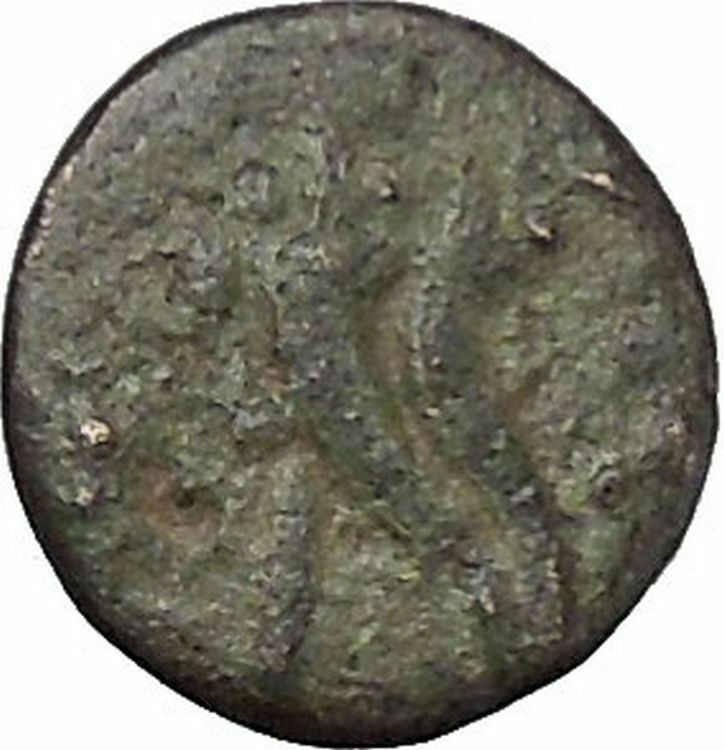 Kaunos in Caria 191BC Ancient Greek Coin Alexander the Great Cornucopia i49008