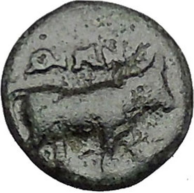 Boione in Aiolis 300BC Rare Authentic Ancient Greek Coin Female BULL i49025