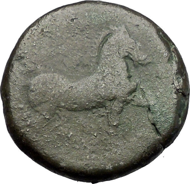 CARTHAGE ZEUGITANA 201BC Tanit Horse LARGE 3 Shekels Ancient Greek Coin i56321