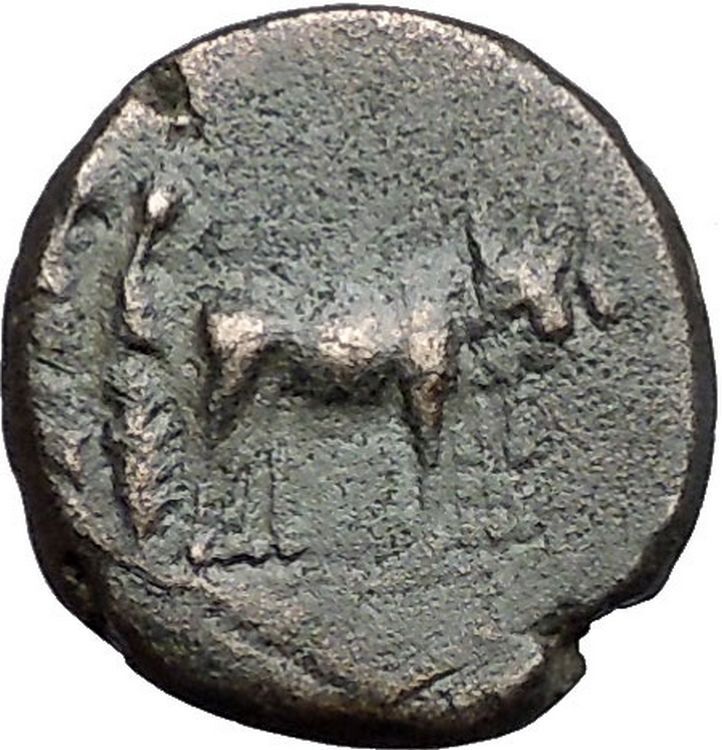 AUGUSTUS 27BC Philippi Macedonia Colonists Founding City Oxen Roman Coin i55852