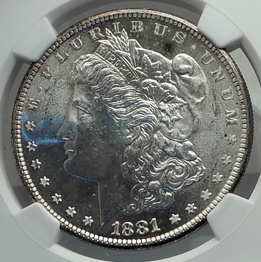 1881 UNITED STATES of America SILVER Morgan US Dollar Coin EAGLE NGC MS i79613