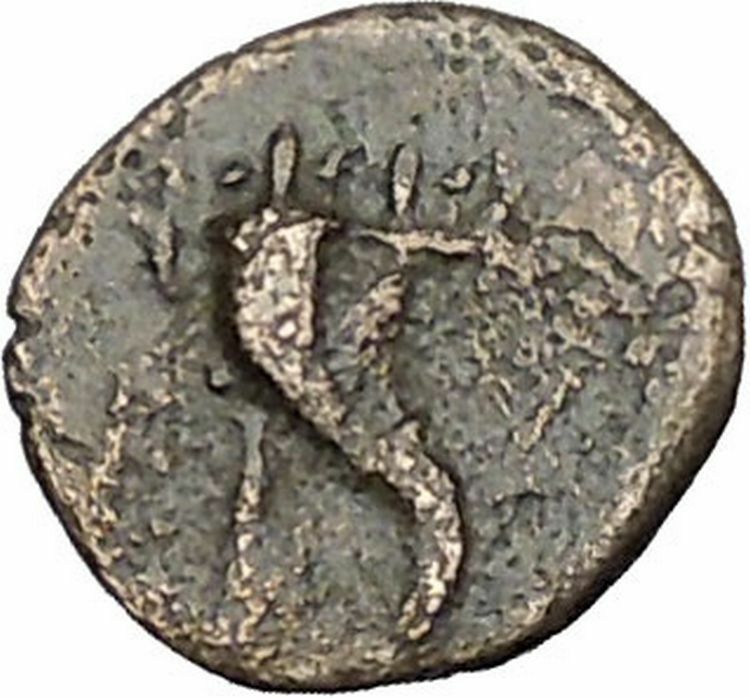 Kaunos in Caria 191BC Ancient Greek Coin Alexander the Great Cornucopia i49006