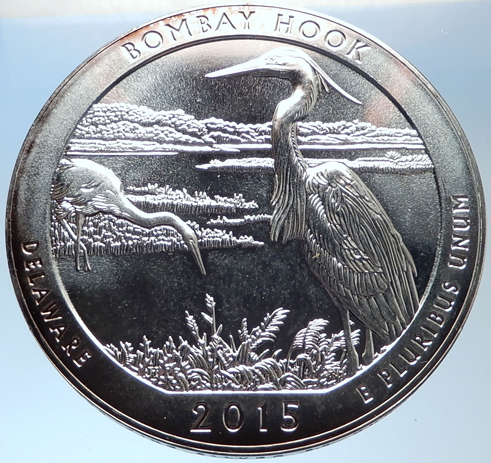 2015 UNITED STATES US Huge 7.6cm Silver Medal Coin BOMBAY HOOK DELAWARE i73701
