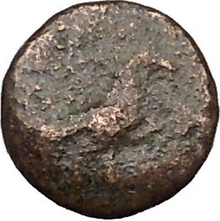 Kyme in Aeolis 350BC EAGLE & VASE on Authentic Ancient Greek Coin i48080