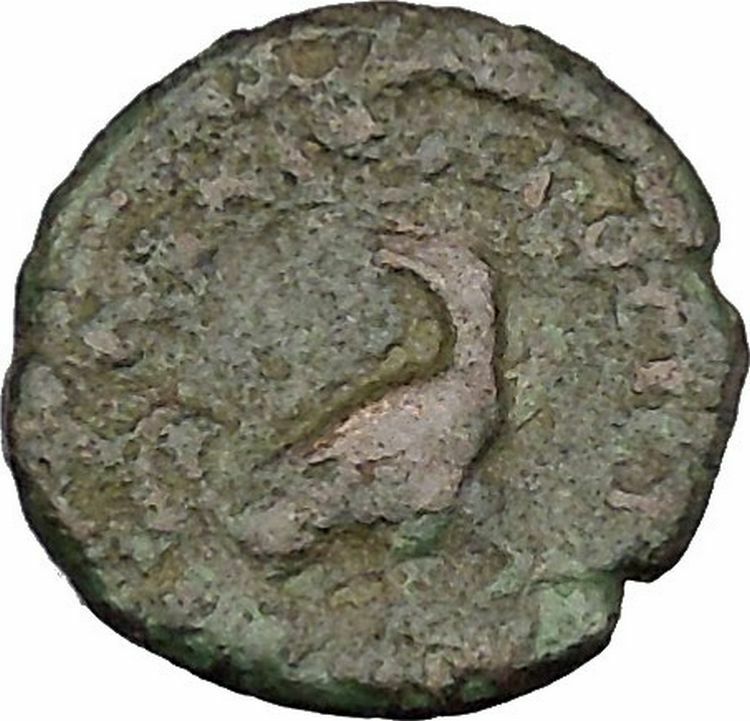 SEPTIMIUS SEVERUS Nicopolis ad Istrum Rare Ancient Roman Coin EAGLE i48501