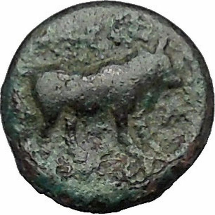 Boione in Aiolis 300BC Rare Authentic Ancient Greek Coin Female BULL i49024