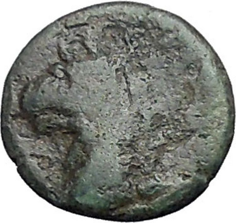 Phokaia in Ionia 350BC Nymph Griffin Authentic Ancient Greek Coin i49096