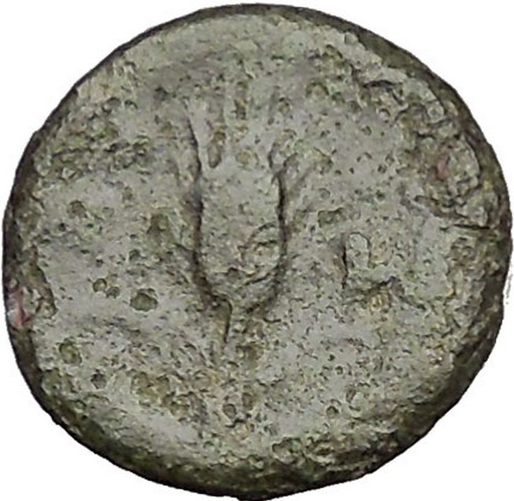 LYSIMACHEIA in THRACE 309BC Lion Grain Ear Authentic Ancient Greek Coin i52012