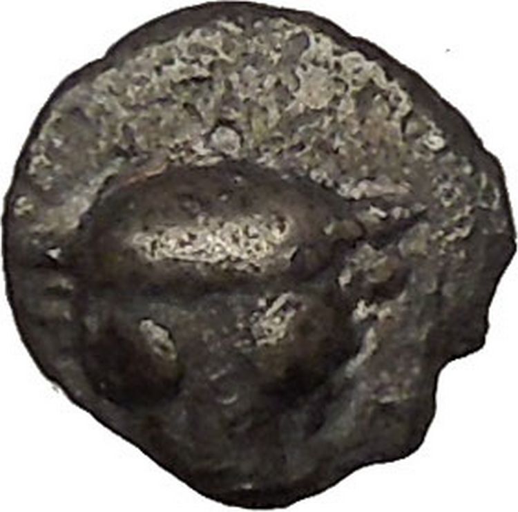 PHOKIS Phokian League 478BC Bull Boar RARE R2 Ancient Silver Greek Coin i53691