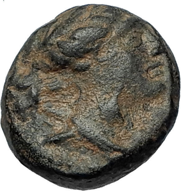 SELEUKOS III Keraunos 225BC Seleukid Ancient Greek Coin ARTEMIS & APOLLO i67599