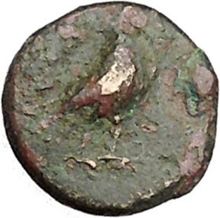 Kyme Cyme in Asia Minor 350BC Ancient Greek Coin Eagle Vase i46119