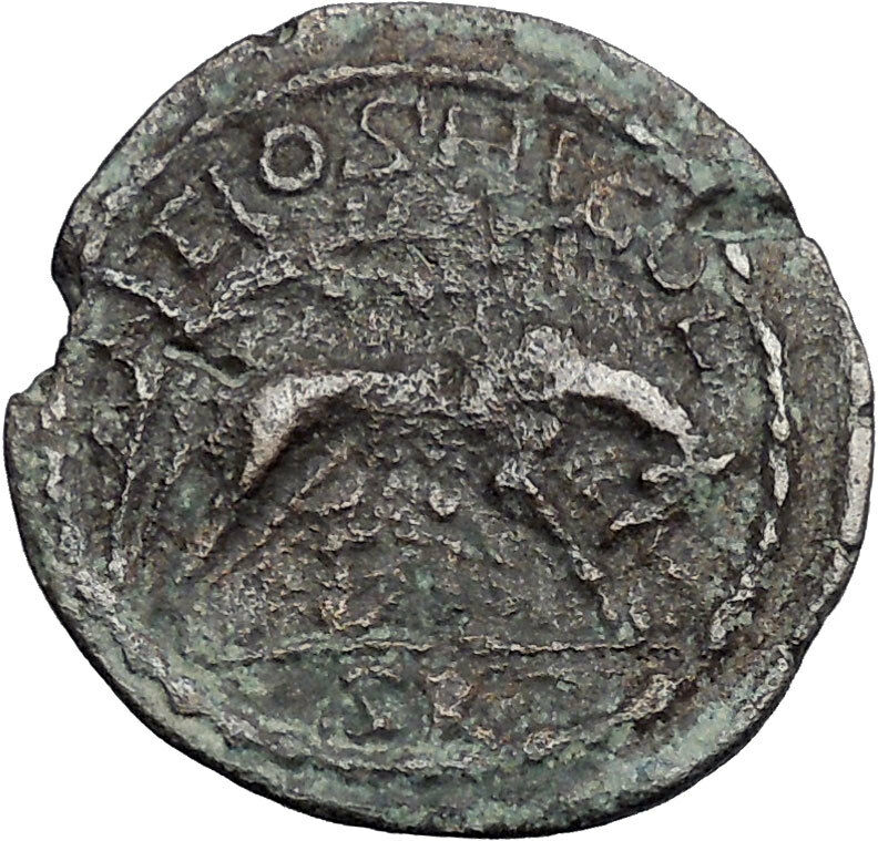 GALLIENUS 253AD She Wolf Romulus Remus Antioch Pisidia Roman Coin i50251