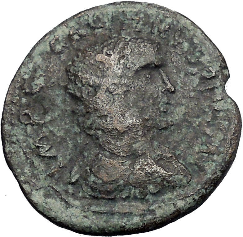 GALLIENUS 253AD She Wolf Romulus Remus Antioch Pisidia Roman Coin i50251