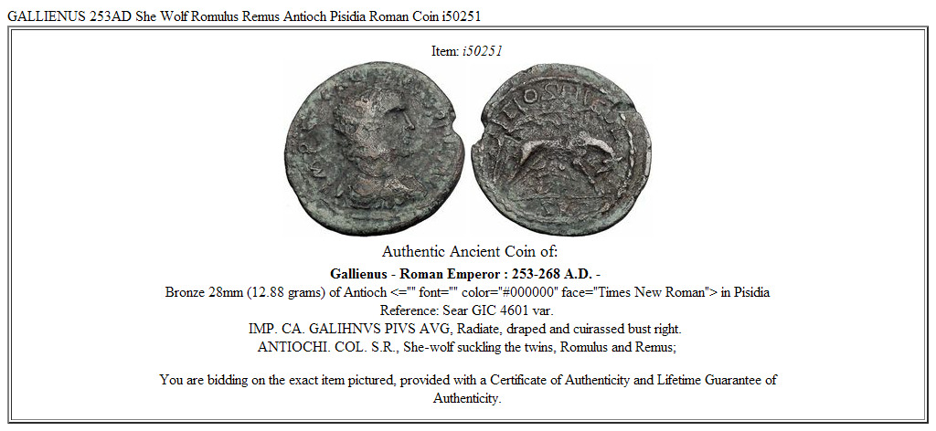 GALLIENUS 253AD She Wolf Romulus Remus Antioch Pisidia Roman Coin i50251