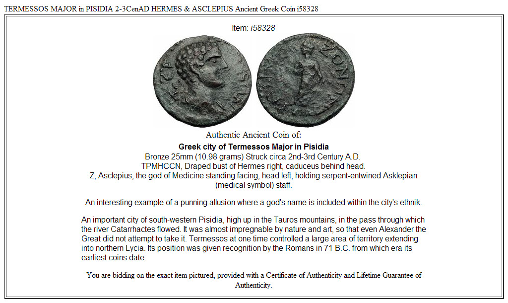 TERMESSOS MAJOR in PISIDIA 2-3CenAD HERMES & ASCLEPIUS Ancient Greek Coin i58328