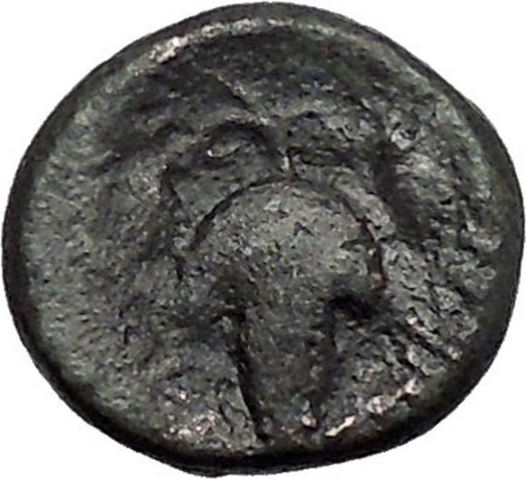 Opus in LOKRIS OPUNTIA 330BC Authentic Ancient Greek Coin Athena Grapes i49332