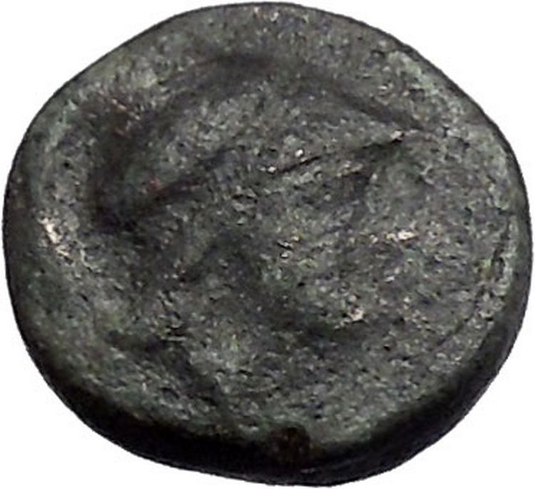 Opus in LOKRIS OPUNTIA 330BC Authentic Ancient Greek Coin Athena Grapes i49332