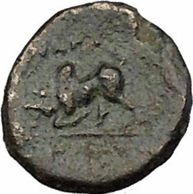 Magnesia ad Maeandrum in Ionia 300BC Horseman Bull Ancient Greek Coin i50523