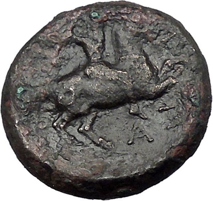 PHARSALOS in THESSALY 300BC Athena Horse Authentic Ancient Greek Coin i49346