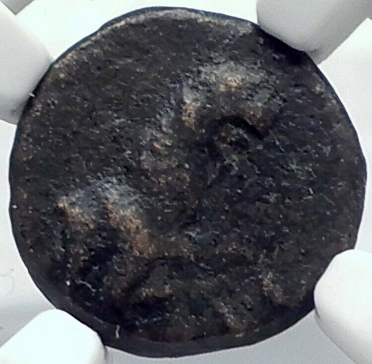 ANTIOCHOS VI DIONYSYS Ancient Seleukid Greek RARE R3 Coin PANTHER NGC i82218