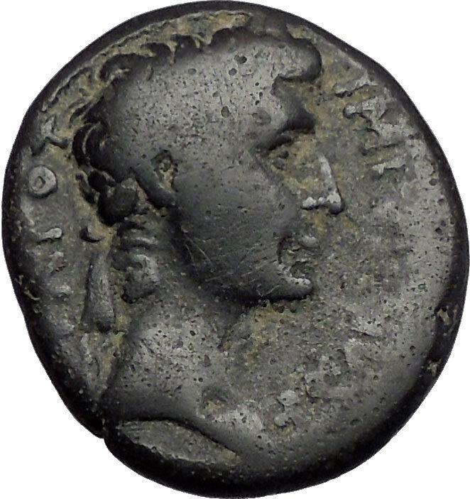 AUGUSTUS 4AD Antioch Seleukis Pieria SC Rare Authentic Ancient Roman Coin i56357