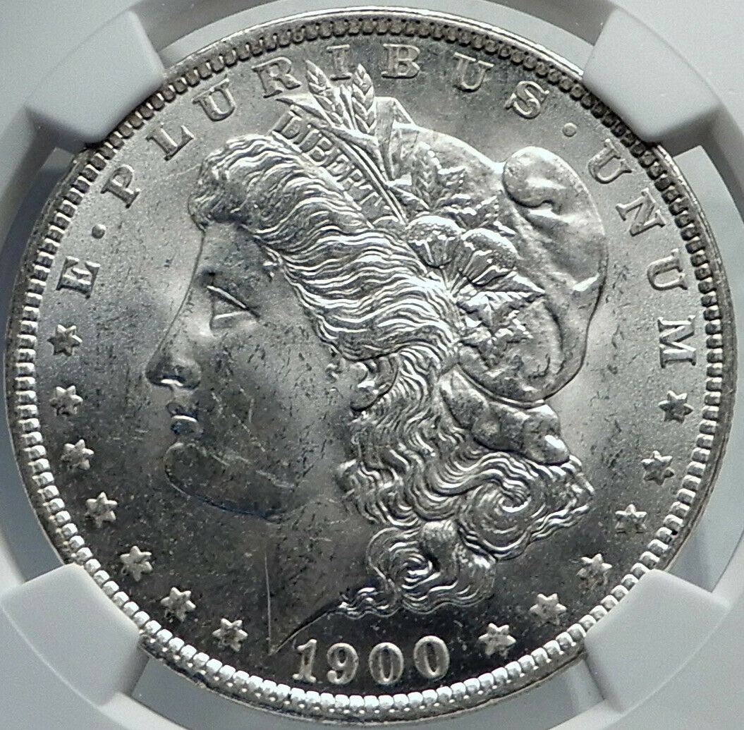 1900 UNITED STATES of America SILVER Morgan US Dollar Coin EAGLE NGC MS i82200