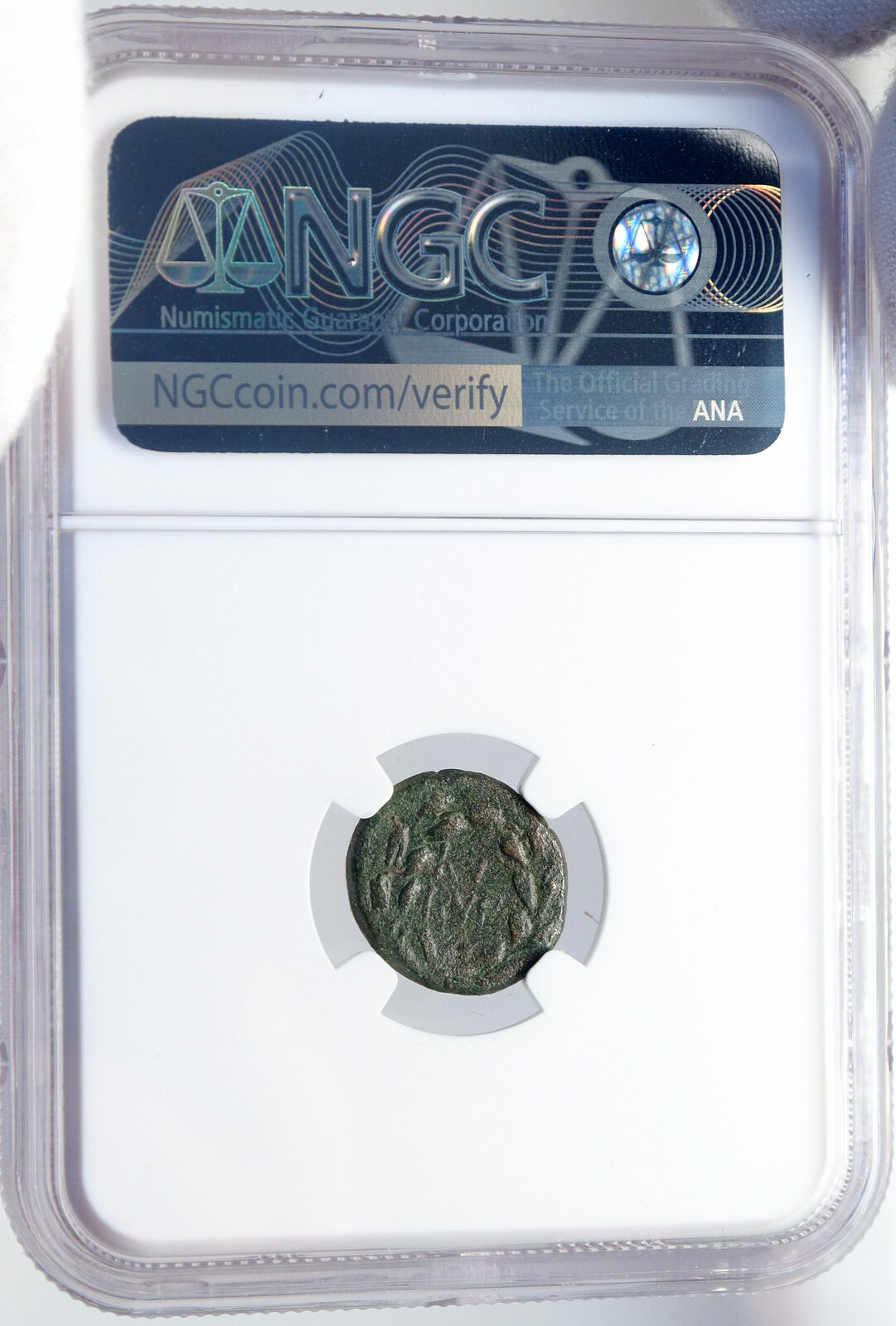 KIBYRA Cibyra in PHRYGIA Authentic Ancient 100AD Greek Coin ARES NGC i82852