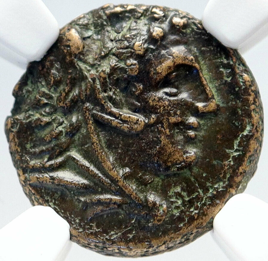 METAPONTION in LUCANIA Authentic Ancient 300BC Greek Coin HERCULES NGC i82859